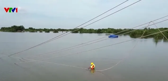 Kéo dây cột vượt sông dự án 500KV mạch 3 - Ảnh 2. Kéo dây cột vượt sông dự án 500KV mạch 3 - Ảnh 2.