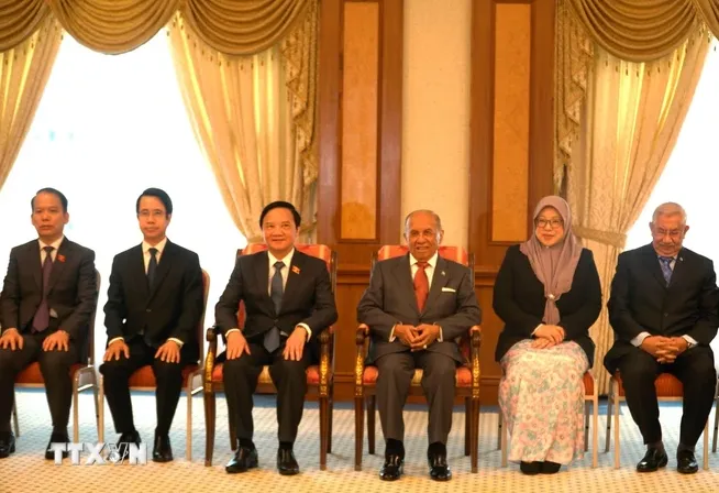 Tăng cường hợp tác lập pháp Việt Nam - Brunei - Ảnh 1. Tăng cường hợp tác lập pháp Việt Nam - Brunei - Ảnh 1.