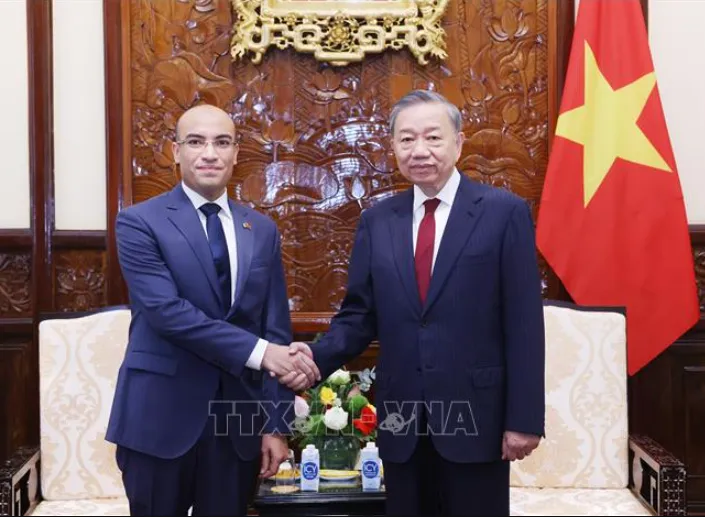 Tổng Bí thư, Chủ tịch nước Tô Lâm tiếp các Đại sứ trình Quốc thư - Ảnh 1. Tổng Bí thư, Chủ tịch nước Tô Lâm tiếp các Đại sứ trình Quốc thư - Ảnh 1.