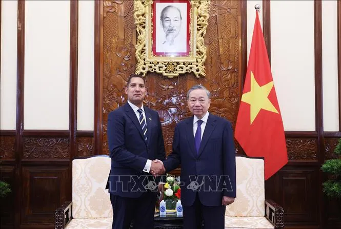 Tổng Bí thư, Chủ tịch nước Tô Lâm tiếp các Đại sứ trình Quốc thư - Ảnh 4. Tổng Bí thư, Chủ tịch nước Tô Lâm tiếp các Đại sứ trình Quốc thư - Ảnh 4.