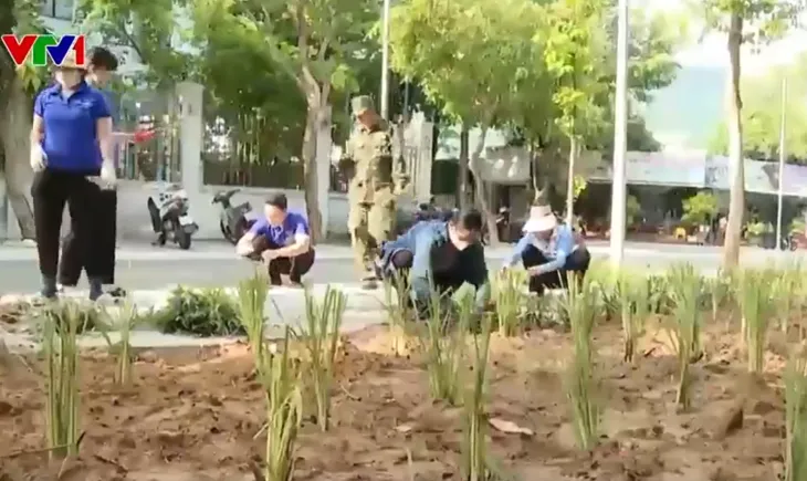 Vườn thuốc nam phủ xanh những bãi rác tại Côn Đảo - Ảnh 1. Vườn thuốc nam phủ xanh những bãi rác tại Côn Đảo - Ảnh 1.