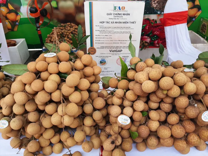 Quảng bá nhãn lồng Hưng Yên tại Hà Nội - Ảnh 1. Quảng bá nhãn lồng Hưng Yên tại Hà Nội - Ảnh 1.