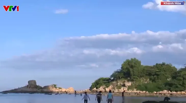 Nha Trang ngăn chặn du khách giẫm đạp san hô - Ảnh 1. Nha Trang ngăn chặn du khách giẫm đạp san hô - Ảnh 1.