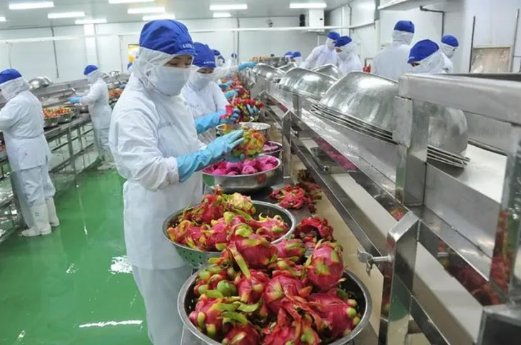 Xuất khẩu nông sản sang EU tăng trưởng tích cực - Ảnh 1. Xuất khẩu nông sản sang EU tăng trưởng tích cực - Ảnh 1.