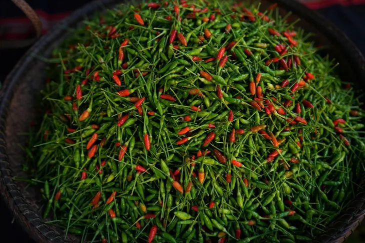 Độc đáo Lễ hội ớt A Riêu đồng bào Cơ Tu - Ảnh 3. Độc đáo Lễ hội ớt A Riêu đồng bào Cơ Tu - Ảnh 3.