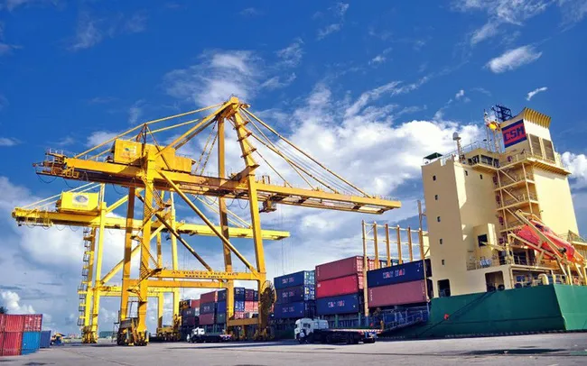 Doanh nghiệp nội át khối FDI trên đường đua xuất khẩu - Ảnh 3. Doanh nghiệp nội át khối FDI trên đường đua xuất khẩu - Ảnh 3.