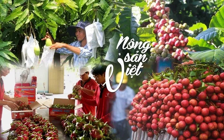 Nông sản Việt nỗ lực đáp ứng tiêu chuẩn của thị trường EU - Ảnh 1. Nông sản Việt nỗ lực đáp ứng tiêu chuẩn của thị trường EU - Ảnh 1.