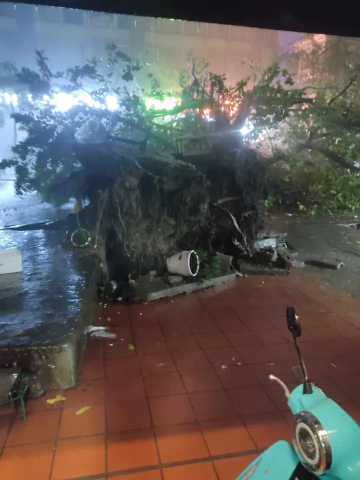 Hà Nội mưa lớn hiếm gặp trong tháng 8 - Ảnh 3. Hà Nội mưa lớn hiếm gặp trong tháng 8 - Ảnh 3.