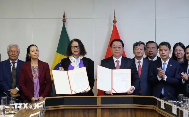 Thúc đẩy quan hệ Việt Nam - Brazil phát triển lên tầm cao mới - Ảnh 5. Thúc đẩy quan hệ Việt Nam - Brazil phát triển lên tầm cao mới - Ảnh 5.