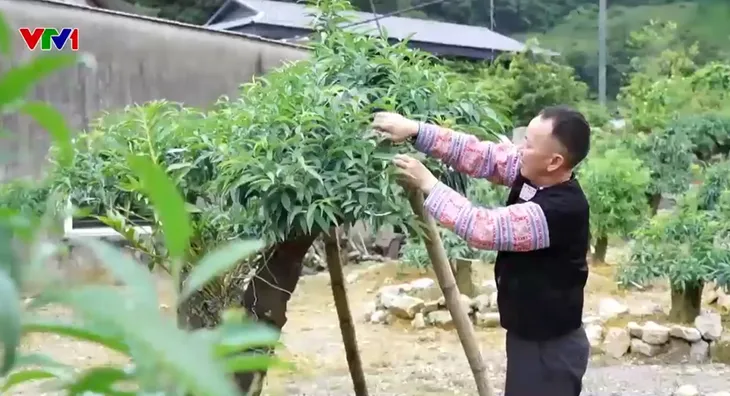 Đường về bản của những người từng một thời lầm lỡ - Ảnh 2. Đường về bản của những người từng một thời lầm lỡ - Ảnh 2.