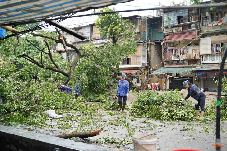 Hàng loạt cây xanh ở Hà Nội gãy đổ sau mưa dông - Ảnh 4.