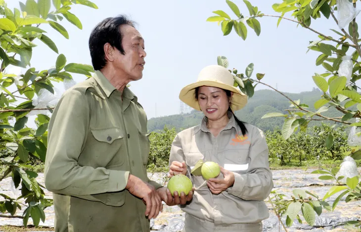 Hơn 250 gian hàng sản phẩm nông nghiệp trưng bày tại Hội chợ OCOP khu vực Đông Bắc - Ảnh 4. Hơn 250 gian hàng sản phẩm nông nghiệp trưng bày tại Hội chợ OCOP khu vực Đông Bắc - Ảnh 4.