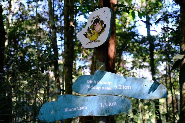 Trekking khám phá VQG Bidoup - Núi Bà và hoà mình vào văn hoá của đồng bào Kho - Ảnh 7. Trekking khám phá VQG Bidoup - Núi Bà và hoà mình vào văn hoá của đồng bào Kho - Ảnh 7.