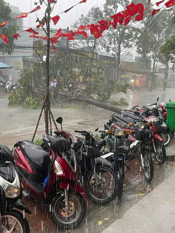 Bình Dương: Gió lốc làm gãy đổ cột điện, cây xanh - Ảnh 3. Bình Dương: Gió lốc làm gãy đổ cột điện, cây xanh - Ảnh 3.