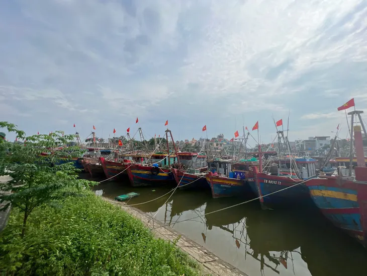 undefined - Ảnh 1.