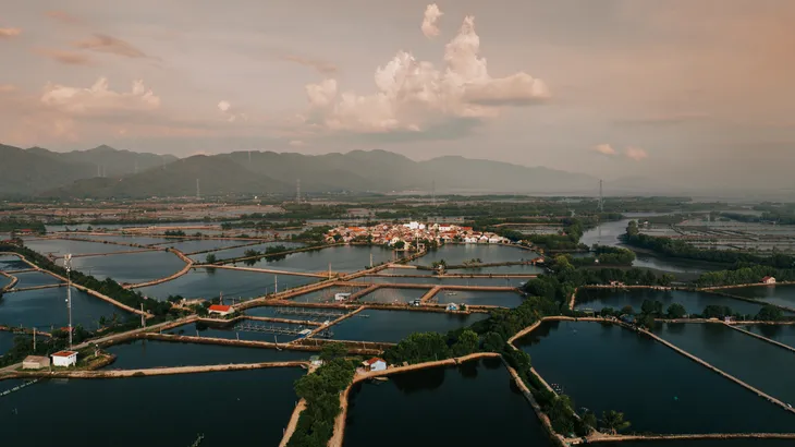 Hà Liên - Ngôi làng 370 năm tuổi giữa lòng đầm Nha Phu - Ảnh 12. Hà Liên - Ngôi làng 370 năm tuổi giữa lòng đầm Nha Phu - Ảnh 12.