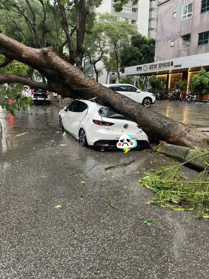 Hà Nội: 1 người tử vong do cây đổ đè trúng trong cơn mưa dông - Ảnh 5. Hà Nội: 1 người tử vong do cây đổ đè trúng trong cơn mưa dông - Ảnh 5.