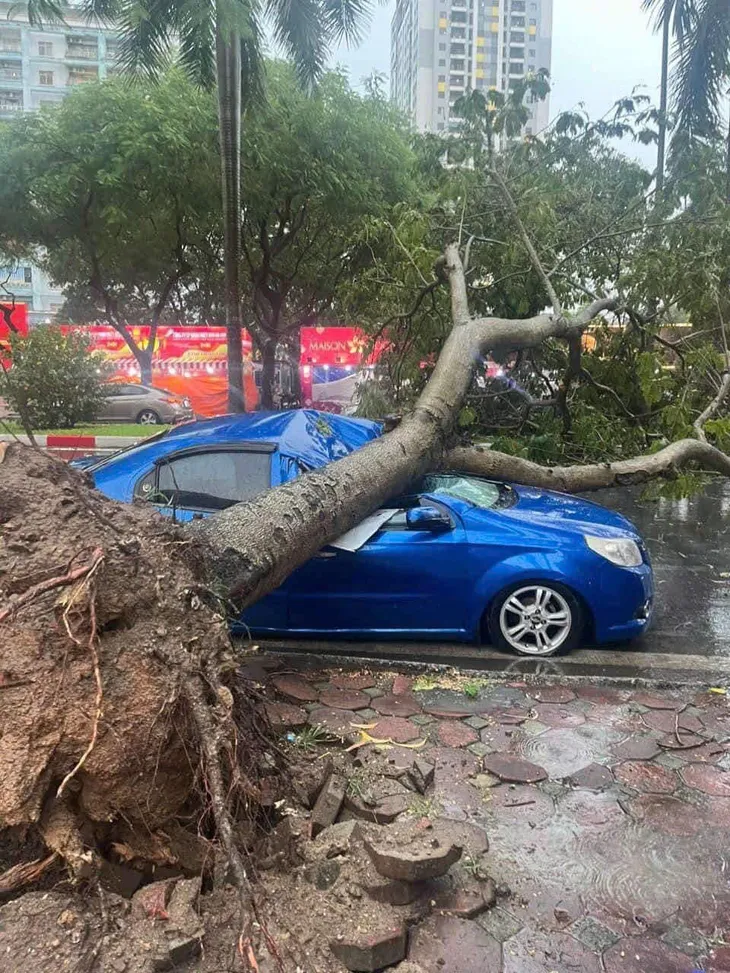 Hà Nội: 1 người tử vong do cây đổ đè trúng trong cơn mưa dông - Ảnh 3. Hà Nội: 1 người tử vong do cây đổ đè trúng trong cơn mưa dông - Ảnh 3.