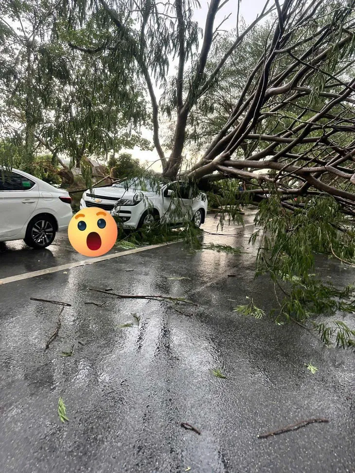 Hà Nội: 1 người tử vong do cây đổ đè trúng trong cơn mưa dông - Ảnh 4. Hà Nội: 1 người tử vong do cây đổ đè trúng trong cơn mưa dông - Ảnh 4.