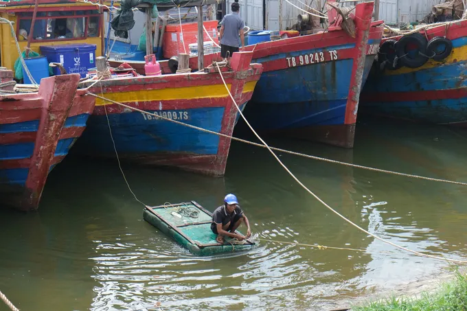 Thái Bình: Trên 18.000 người dân được di dời đến nơi an toàn để tránh bão số 3 - Ảnh 3. Thái Bình: Trên 18.000 người dân được di dời đến nơi an toàn để tránh bão số 3 - Ảnh 3.