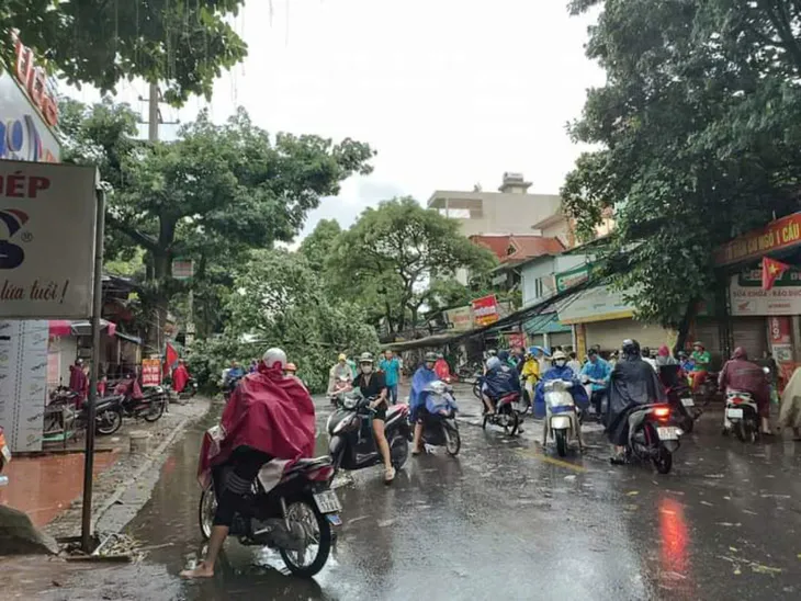 Đông Bắc Bộ mưa lớn trắng trời, nhiều cây xanh ngã đổ - Ảnh 2. Đông Bắc Bộ mưa lớn trắng trời, nhiều cây xanh ngã đổ - Ảnh 2.