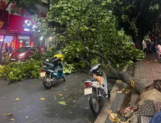 Bí thư Thành ủy Hà Nội chỉ đạo tiếp tục bằng mọi biện pháp bảo đảm an toàn cho người dân - Ảnh 1. Bí thư Thành ủy Hà Nội chỉ đạo tiếp tục bằng mọi biện pháp bảo đảm an toàn cho người dân - Ảnh 1.