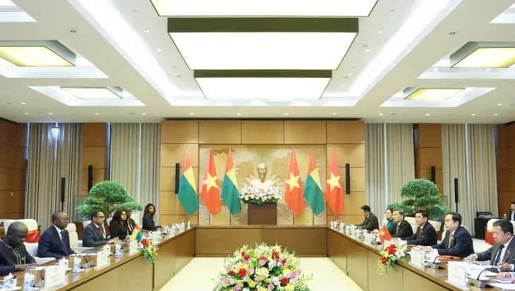 Tăng cường quan hệ hợp tác Việt Nam - Guinea-Bissau - Ảnh 2. Tăng cường quan hệ hợp tác Việt Nam - Guinea-Bissau - Ảnh 2.