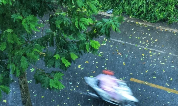 Hà Nội mưa lớn và gió mạnh, người dân không nên ra khỏi nhà - Ảnh 1. Hà Nội mưa lớn và gió mạnh, người dân không nên ra khỏi nhà - Ảnh 1.
