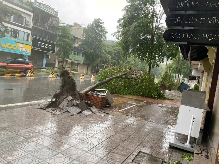 Thái Bình: Nỗ lực khắc phục ảnh hưởng của bão số 3 ngay trong đêm - Ảnh 6.