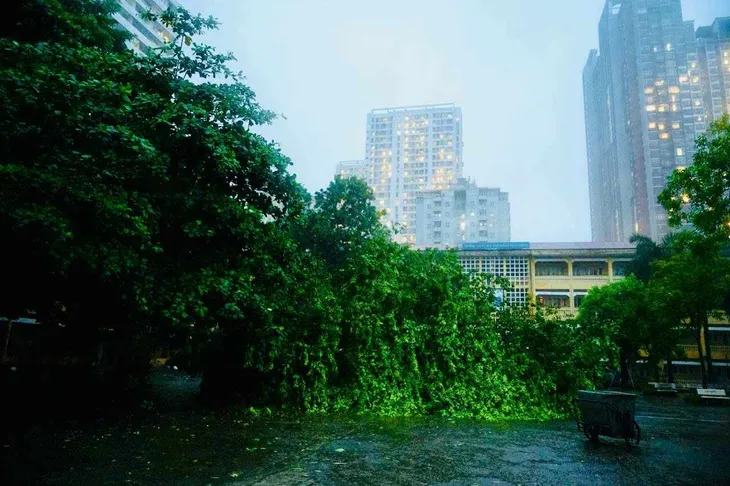 Đón học sinh trở lại sau bão Yagi, các trường học khẩn trương dọn dẹp - Ảnh 1. Đón học sinh trở lại sau bão Yagi, các trường học khẩn trương dọn dẹp - Ảnh 1.