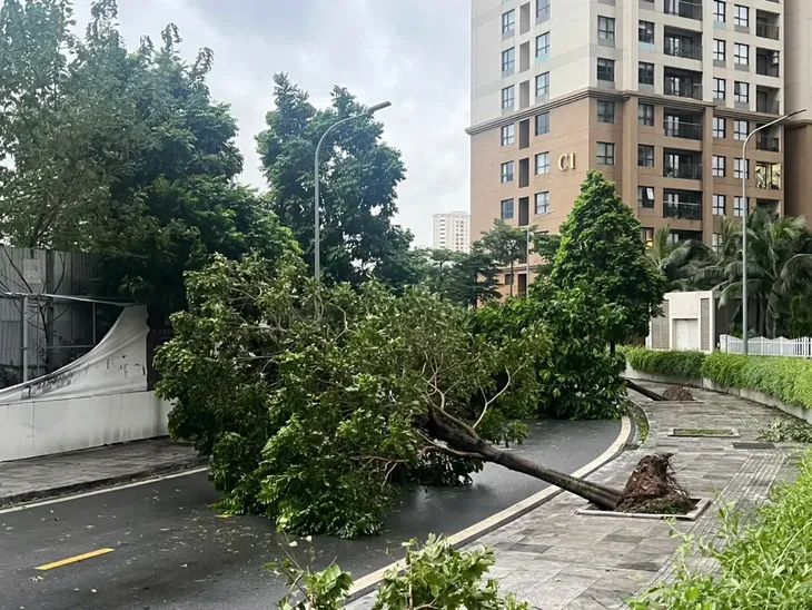 Tin cuối cùng về bão số 3 - Ảnh 1. Tin cuối cùng về bão số 3 - Ảnh 1.