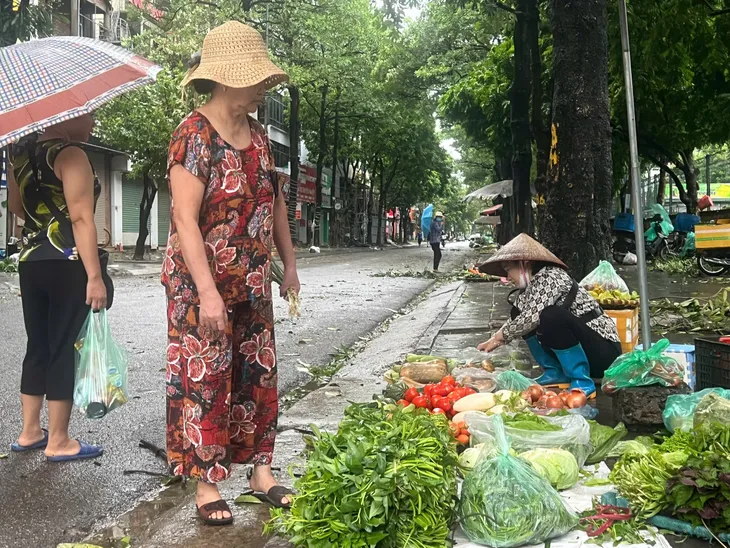 Đường phố Hà Nội tan hoang sau bão số 3 - Ảnh 19. Đường phố Hà Nội tan hoang sau bão số 3 - Ảnh 19.
