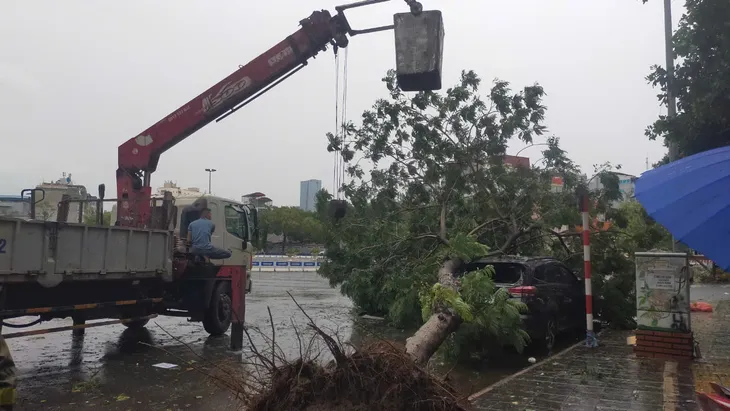 Người dân Hà Nội dọn dẹp đường phố sau cơn bão - Ảnh 8. Người dân Hà Nội dọn dẹp đường phố sau cơn bão - Ảnh 8.