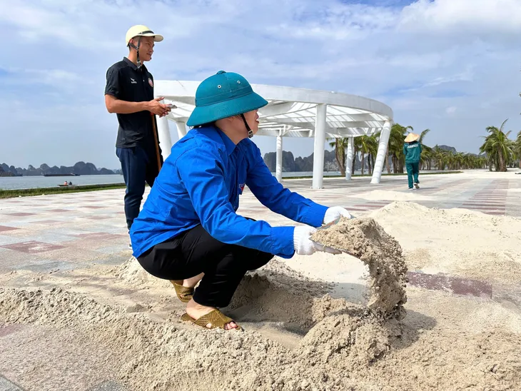 Người dân TP Hạ Long cùng nhau dọn dẹp vệ sinh môi trường sau bão số 3 - Ảnh 11. Người dân TP Hạ Long cùng nhau dọn dẹp vệ sinh môi trường sau bão số 3 - Ảnh 11.
