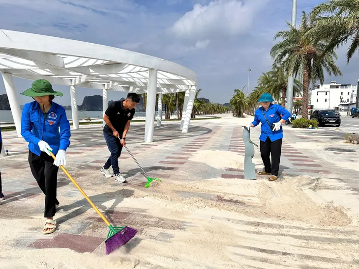 Người dân TP Hạ Long cùng nhau dọn dẹp vệ sinh môi trường sau bão số 3 - Ảnh 7. Người dân TP Hạ Long cùng nhau dọn dẹp vệ sinh môi trường sau bão số 3 - Ảnh 7.