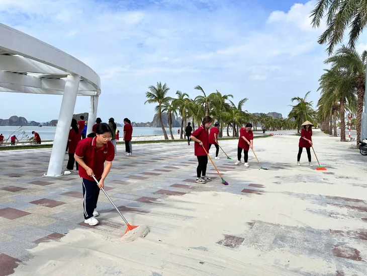 Người dân TP Hạ Long cùng nhau dọn dẹp vệ sinh môi trường sau bão số 3 - Ảnh 9. Người dân TP Hạ Long cùng nhau dọn dẹp vệ sinh môi trường sau bão số 3 - Ảnh 9.