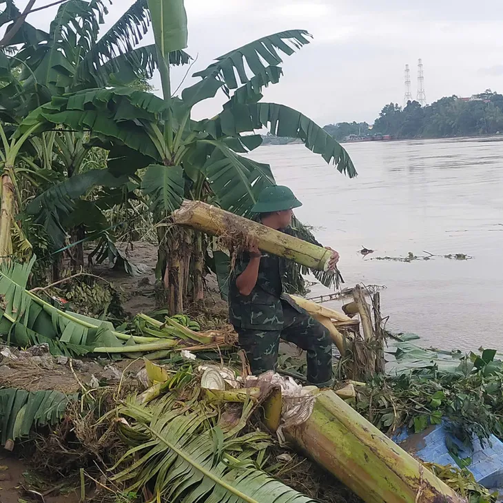 Phú Thọ: Dự kiến xây dựng cầu mới thay thế cầu Phong Châu với mức đầu tư 865 tỷ đồng - Ảnh 2. Phú Thọ: Dự kiến xây dựng cầu mới thay thế cầu Phong Châu với mức đầu tư 865 tỷ đồng - Ảnh 2.