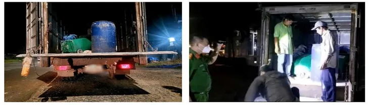 Đồng Nai: Bắt giữ một xe ôtô tải chở gần 1 tấn heo chết - Ảnh 1. Đồng Nai: Bắt giữ một xe ôtô tải chở gần 1 tấn heo chết - Ảnh 1.