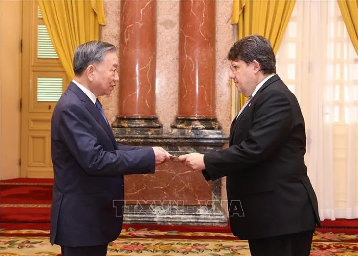 Tổng Bí thư, Chủ tịch nước tiếp các Đại sứ trình Quốc thư - Ảnh 2. Tổng Bí thư, Chủ tịch nước tiếp các Đại sứ trình Quốc thư - Ảnh 2.