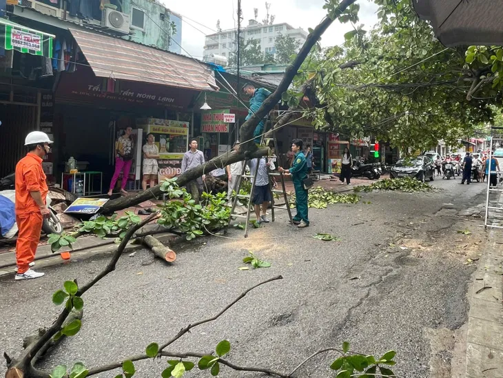 Hà Nội chạy đua với thời gian dựng lại hơn 4.000 cây xanh gãy đổ - Ảnh 1. Hà Nội chạy đua với thời gian dựng lại hơn 4.000 cây xanh gãy đổ - Ảnh 1.