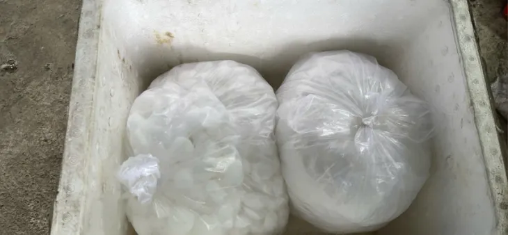Triệt phá đường dây mua bán trái phép chất độc xyanua - Ảnh 2. Triệt phá đường dây mua bán trái phép chất độc xyanua - Ảnh 2.