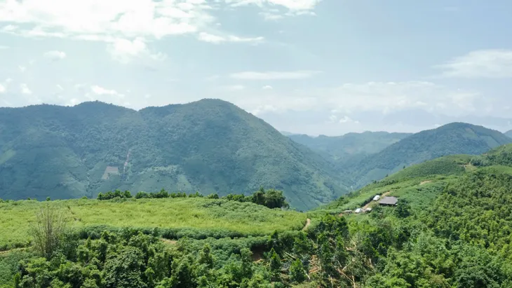 Xuyên đêm san ủi mặt bằng xây dựng Khu tái định cư Làng Nủ - Ảnh 8. Xuyên đêm san ủi mặt bằng xây dựng Khu tái định cư Làng Nủ - Ảnh 8.