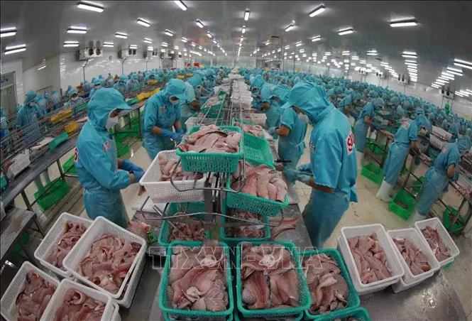 Việt Nam không bán phá giá sản phẩm cá tra tại Mỹ - Ảnh 1. Việt Nam không bán phá giá sản phẩm cá tra tại Mỹ - Ảnh 1.