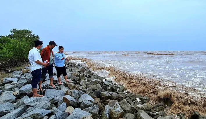 Đê biển bị uy hiếp, Cà Mau tăng cường hộ đê - Ảnh 1. Đê biển bị uy hiếp, Cà Mau tăng cường hộ đê - Ảnh 1.