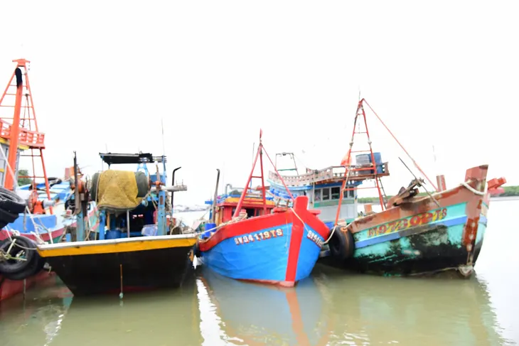 Tiền Giang: Bắt giữ 3 tàu cá đánh bắt vi phạm IUU - Ảnh 2. Tiền Giang: Bắt giữ 3 tàu cá đánh bắt vi phạm IUU - Ảnh 2.