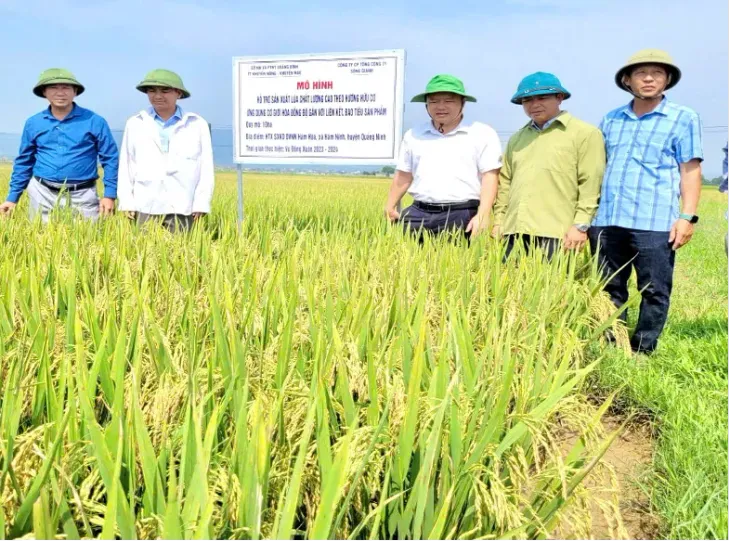 Đề xuất nhiều giải pháp giảm phát thải khí nhà kính trong sản xuất nông nghiệp - Ảnh 4. Đề xuất nhiều giải pháp giảm phát thải khí nhà kính trong sản xuất nông nghiệp - Ảnh 4.