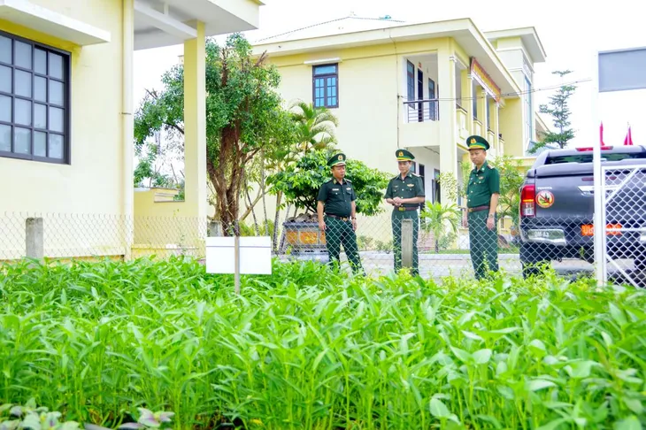 Kiểm tra toàn diện công tác biên phòng tại Bộ đội Biên phòng Quảng Nam - Ảnh 6. Kiểm tra toàn diện công tác biên phòng tại Bộ đội Biên phòng Quảng Nam - Ảnh 6.