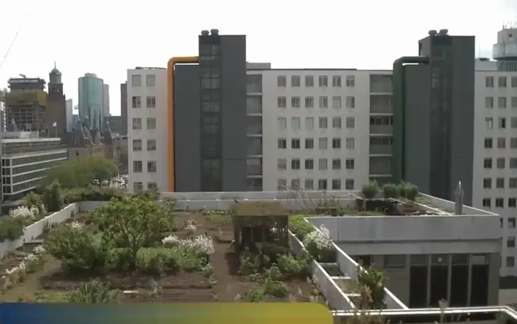 Hà Lan triển khai giải pháp mới giảm thiểu lũ lụt - Ảnh 1. Hà Lan triển khai giải pháp mới giảm thiểu lũ lụt - Ảnh 1.