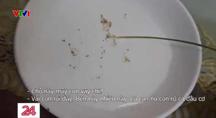 Lạ đời bắt con sâu răng qua... mắt - Ảnh 4. Lạ đời bắt con sâu răng qua... mắt - Ảnh 4.