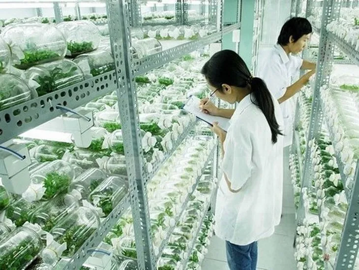Thành lập Khu Công nghệ cao sinh học Hà Nội - Ảnh 1. Thành lập Khu Công nghệ cao sinh học Hà Nội - Ảnh 1.